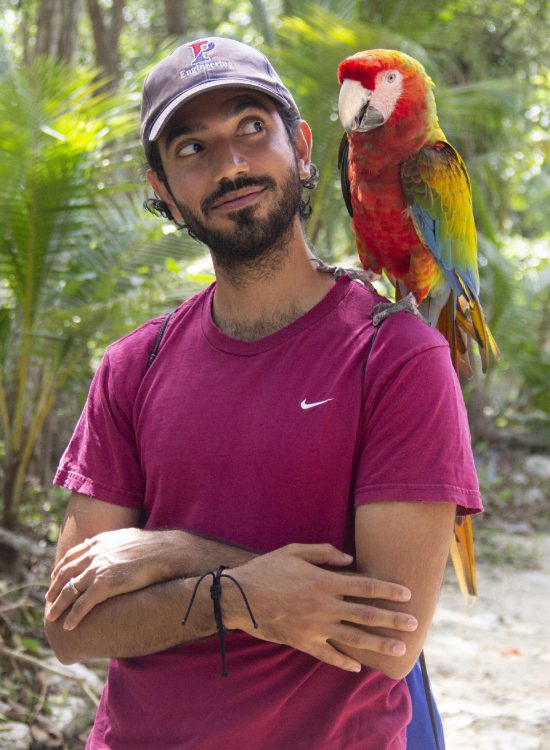 cliente y guacamaya ok